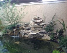 images006